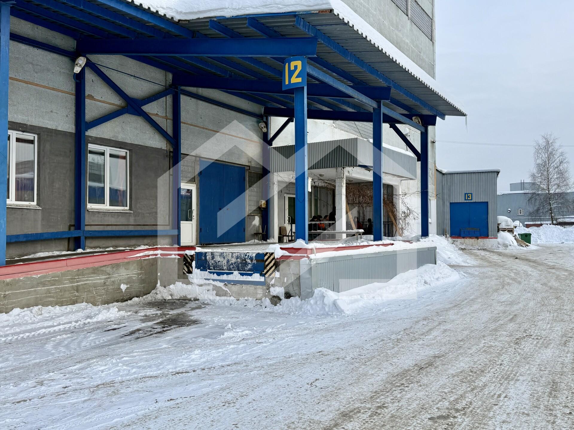 Копия IMG_8174.jpeg