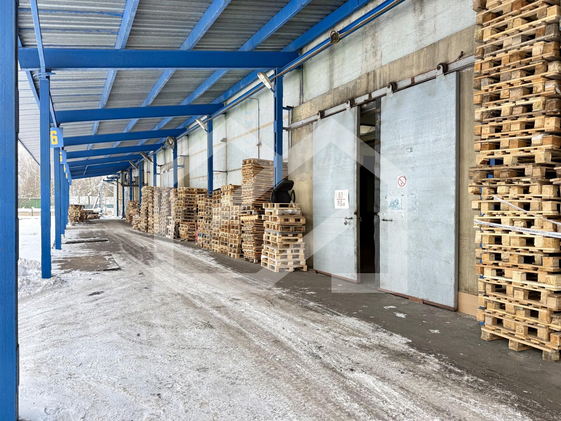 Копия IMG_8171.jpeg