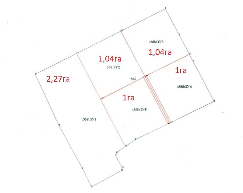 Кашира 368, раздел 6.2 га.jpg