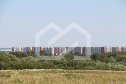 IMG_6658.JPG