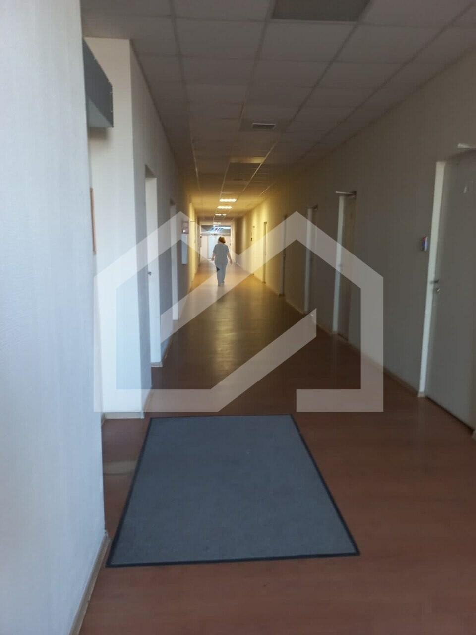 arenda_62772(1).jfif