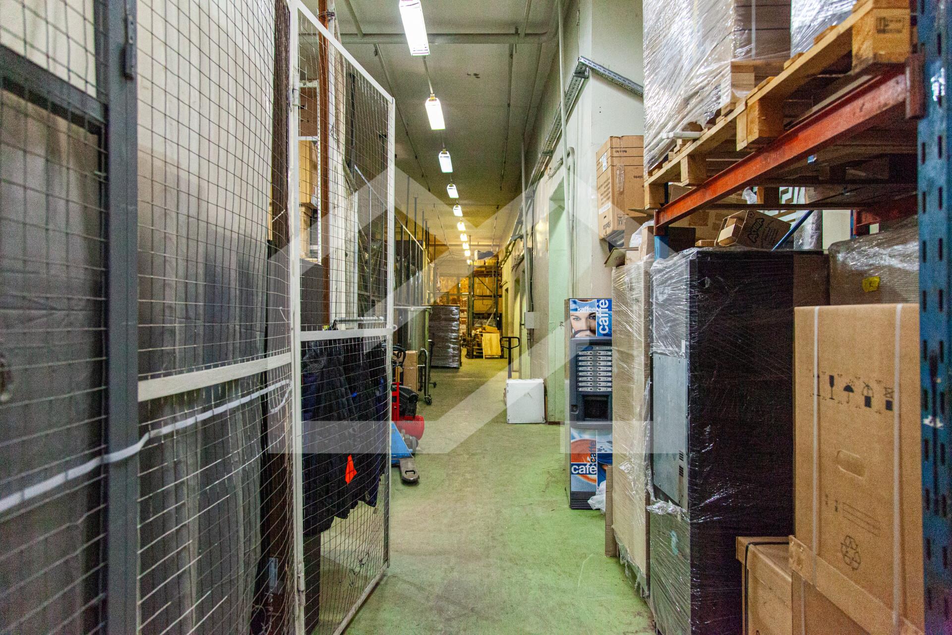 Копия IMG_7206.jpg