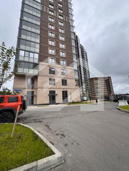 Изображение WhatsApp 2025-07-02 в 14.19.17_072c1eac.jpg