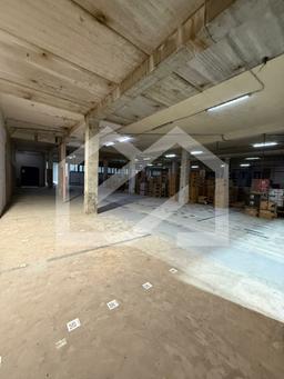 WhatsApp Image 2025-07-03 at 17.26.45.jpeg