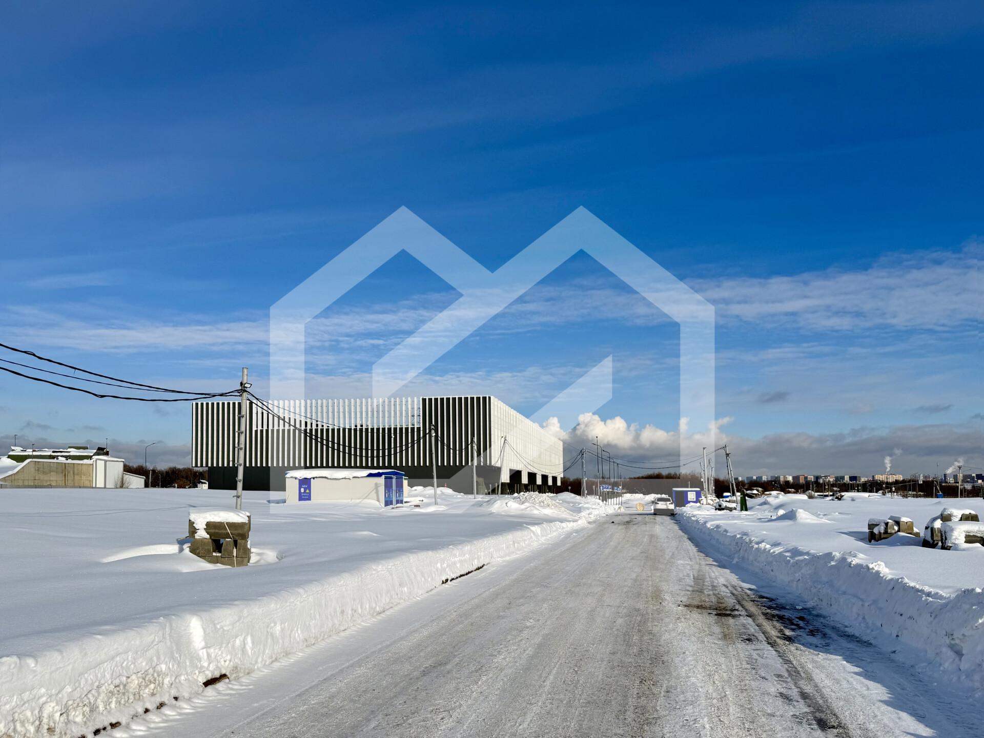 Копия IMG_8561.jpeg