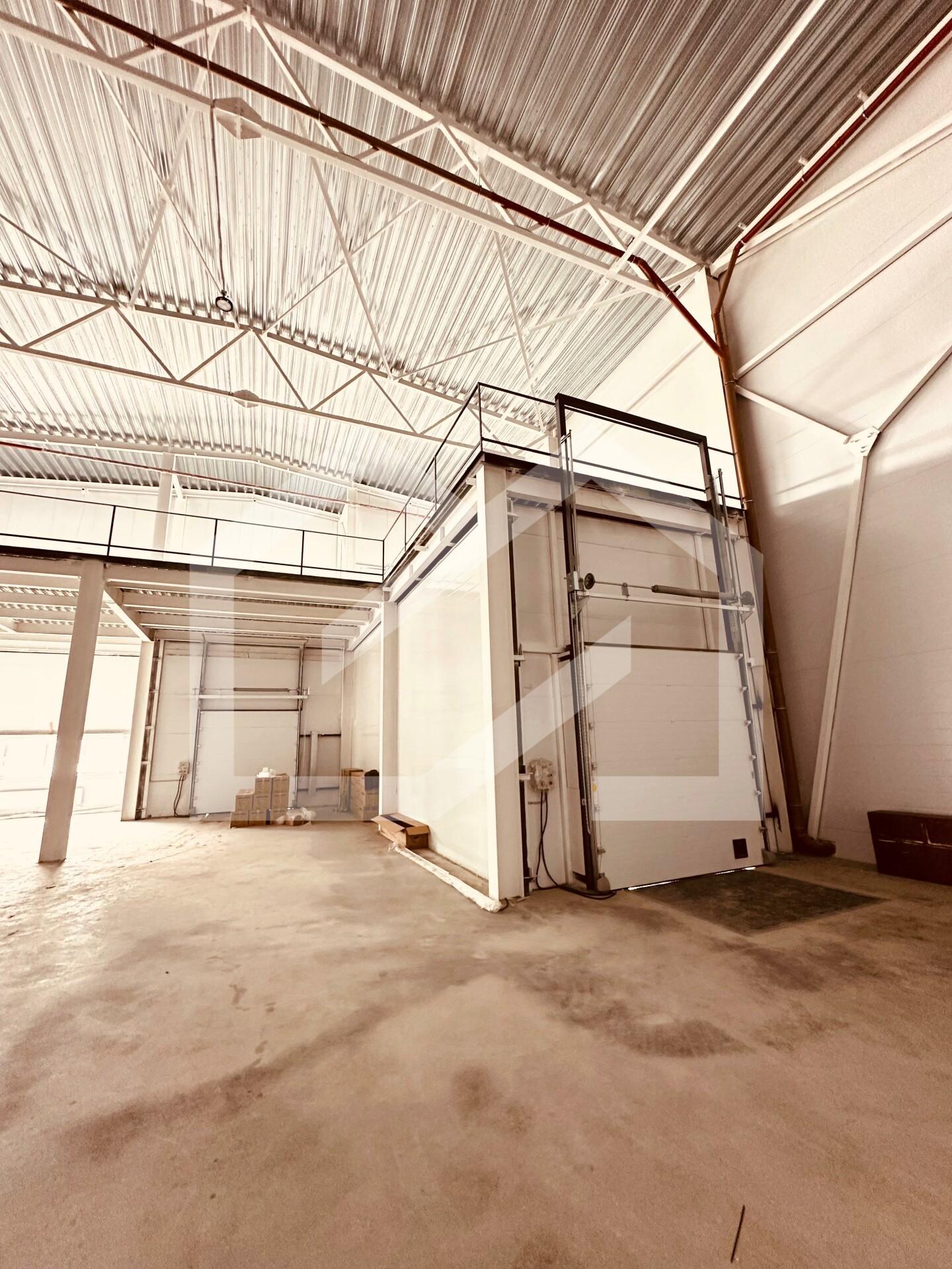 WhatsApp Image 2025-07-28 at 17.17.25.jpeg