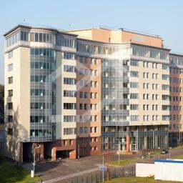 1090743310-6.jpg