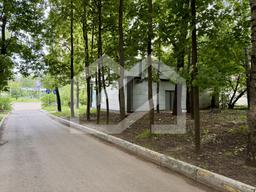 Копия IMG_7498.jpg