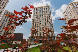 Изображение 10