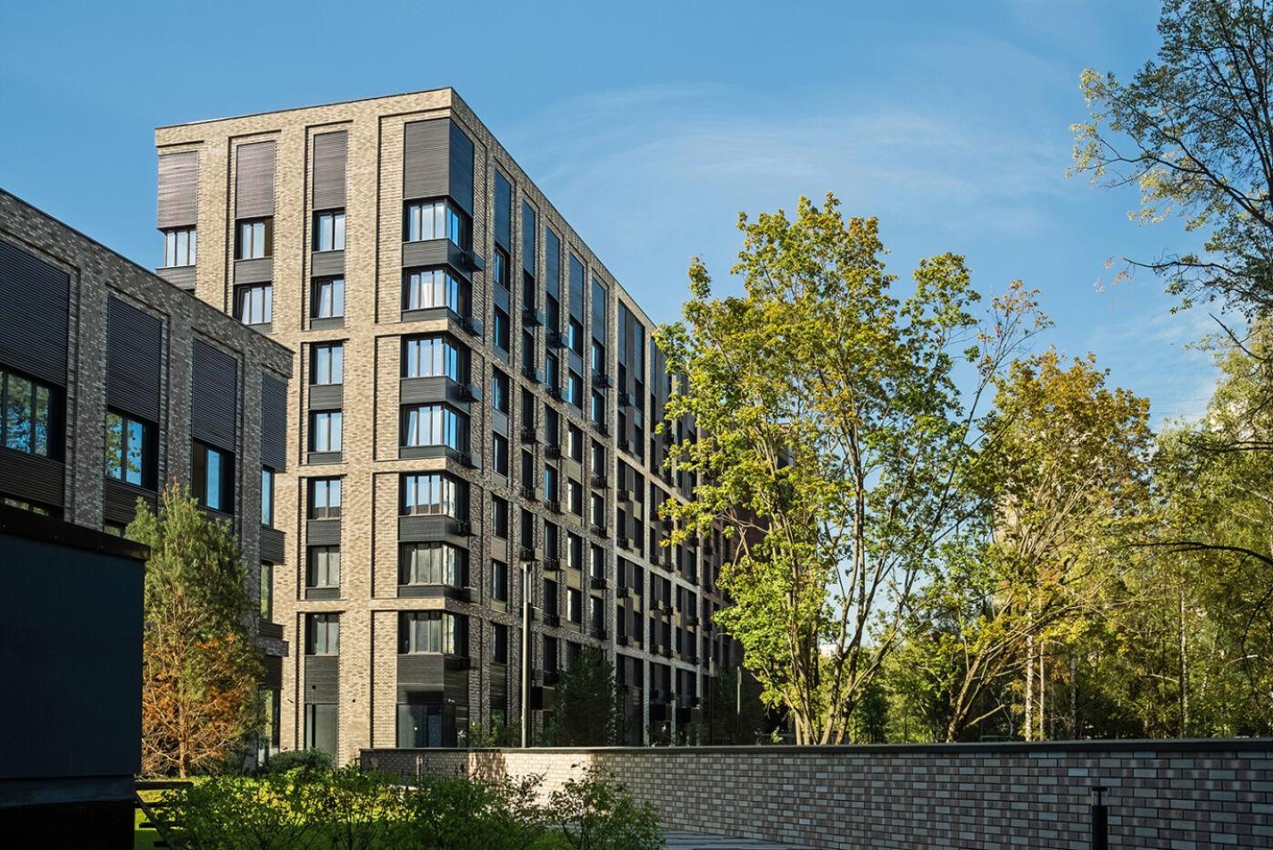 Изображение 11