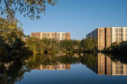 Изображение 12